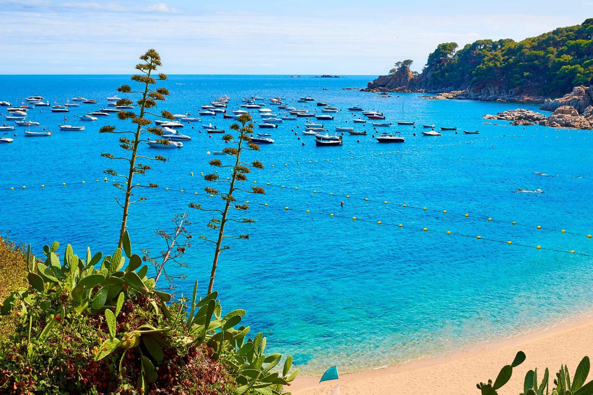 Apartment 1Llad01 - Llafranc Calella De Palafrugell Bagian luar foto