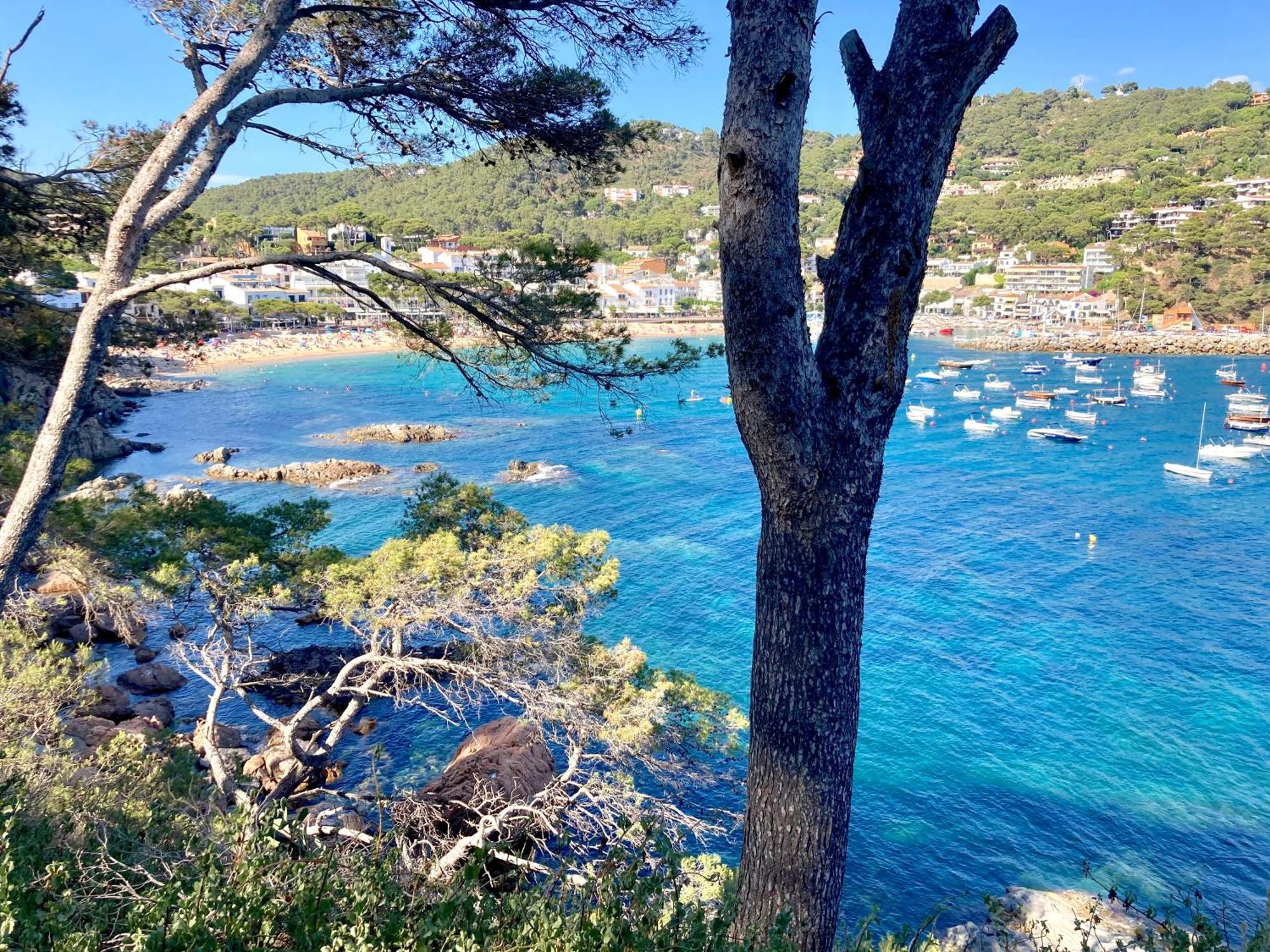 Apartment 1Llad01 - Llafranc Calella De Palafrugell Bagian luar foto